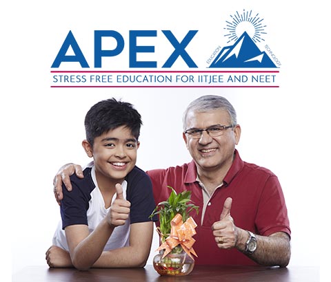 Apex Program